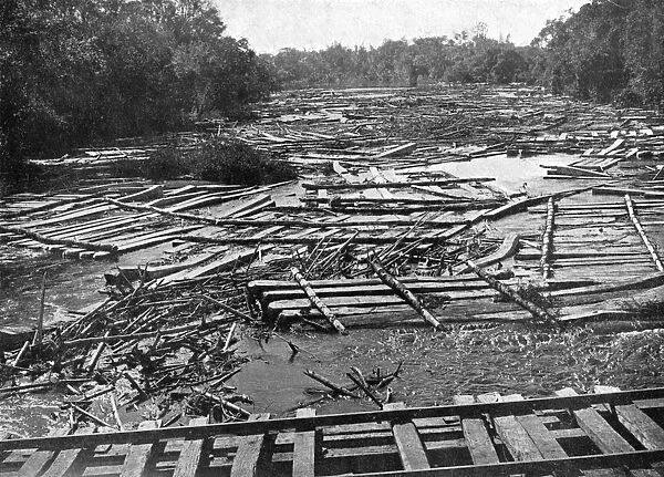 Cedar logs on the Tebicuary-Guazu River floating by the railway bridge, Paraguay, 1911