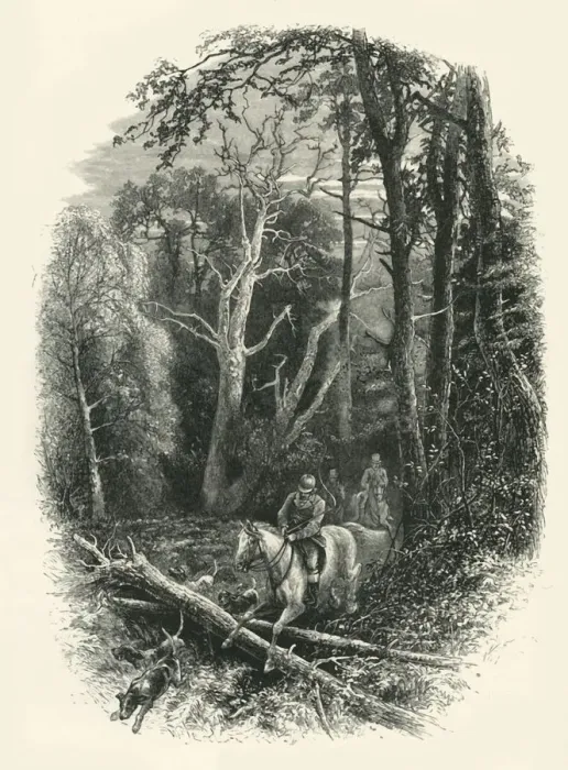 Framed Print : In Cedar Walk, Virginia Water, c1870 Framed Print : In Cedar Walk, Virginia Water, c1870