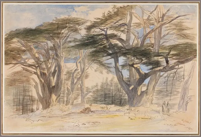 Framed Print : The Cedars of Lebanon, 1858. Creator: Edward Lear Framed Print : The Cedars of Lebanon, 1858. Creator: Edward Lear