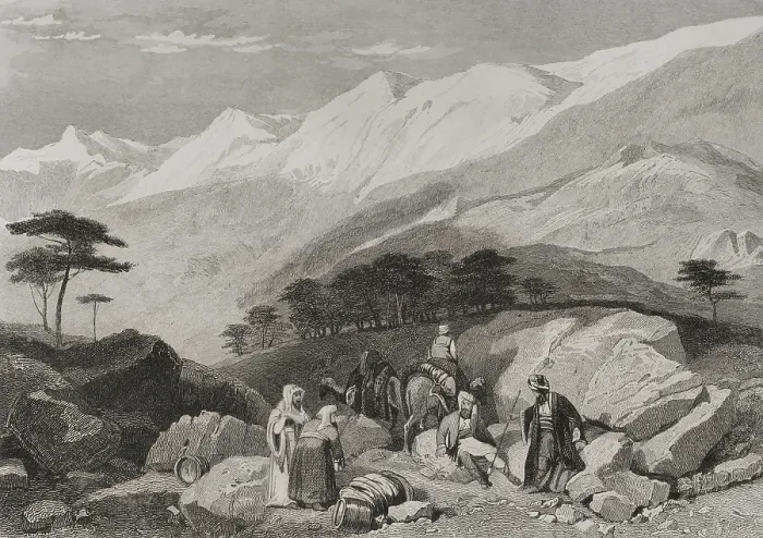 Framed Print : Cedars, Mount Lebanon, 1840. Creator: Charles Nicolas Ransonnette Framed Print : Cedars, Mount Lebanon, 1840. Creator: Charles Nicolas Ransonnette
