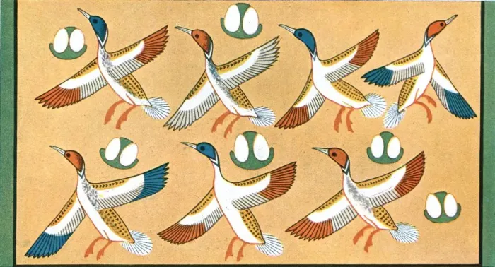 Framed Print : Detail of ceiling painting in the tomb of Aichesi, Thebes, Egypt, (1928). Creator: Unknown Framed Print : Detail of ceiling painting in the tomb of Aichesi, Thebes, Egypt, (1928). Creator: Unknown