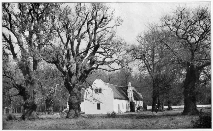 Framed Print : The cellar at Vergelegen wine estate, South Africa, 1931 Framed Print : The cellar at Vergelegen wine estate, South Africa, 1931