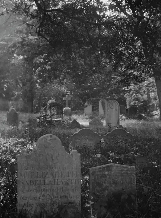 Framed Print : Cemetery, New Orleans or Charleston, South Carolina, between 1920 and 1926. Creator: Arnold Genthe Framed Print : Cemetery, New Orleans or Charleston, South Carolina, between 1920 and 1926. Creator: Arnold Genthe