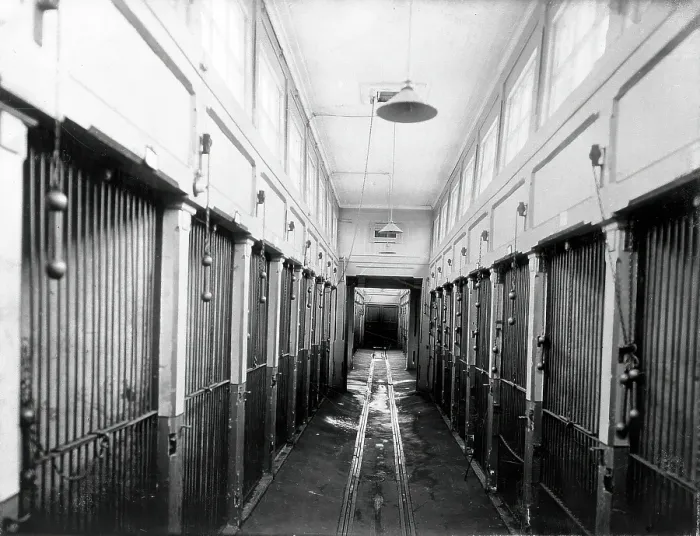 Framed Print : The central corridor of the vivarium (animal house) with cages for the animals, in the... 1904. Creator: Unknown Framed Print : The central corridor of the vivarium (animal house) with cages for the animals, in the... 1904. Creator: Unknown