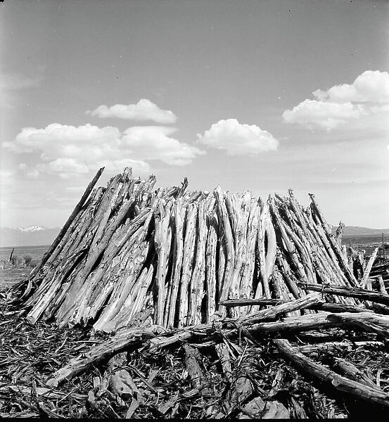 Central Utah dry land adjustment project, forty miles from Tooele, Utah, 1936. Creator: Dorothea Lange