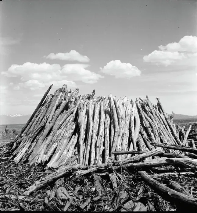 Framed Print : Central Utah dry land adjustment project, forty miles from Tooele, Utah, 1936. Creator: Dorothea Lange Framed Print : Central Utah dry land adjustment project, forty miles from Tooele, Utah, 1936. Creator: Dorothea Lange