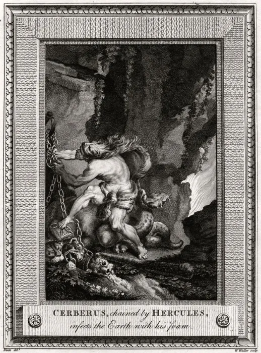 Framed Print : Cerberus, chained by Hercules, infects the Earth with his foam, 1774. Artist: W Walker Framed Print : Cerberus, chained by Hercules, infects the Earth with his foam, 1774. Artist: W Walker