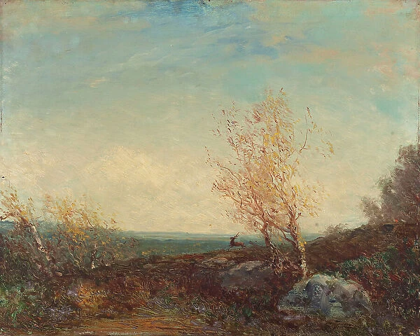 Cerf dans la forêt de Fontainebleau, between 1875 and 1880. Creator: Felix Francois Georges Philibert Ziem