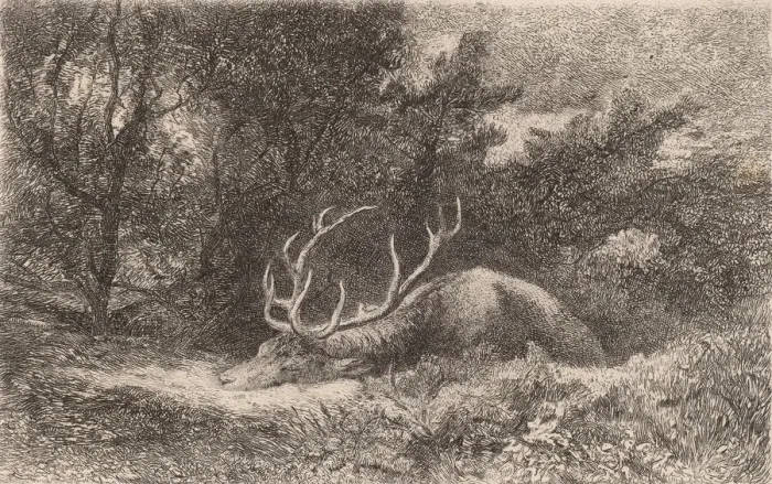 Framed Print : Cerf a la Reposee. Creator: Karl Bodmer Framed Print : Cerf a la Reposee. Creator: Karl Bodmer