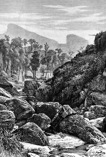 Ceylon (Sri Lanka), 1895