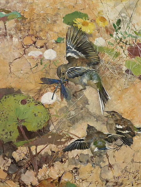 Chaffinches and Dragonflies. Five studies in one frame, 1885. Creator: Bruno Liljefors