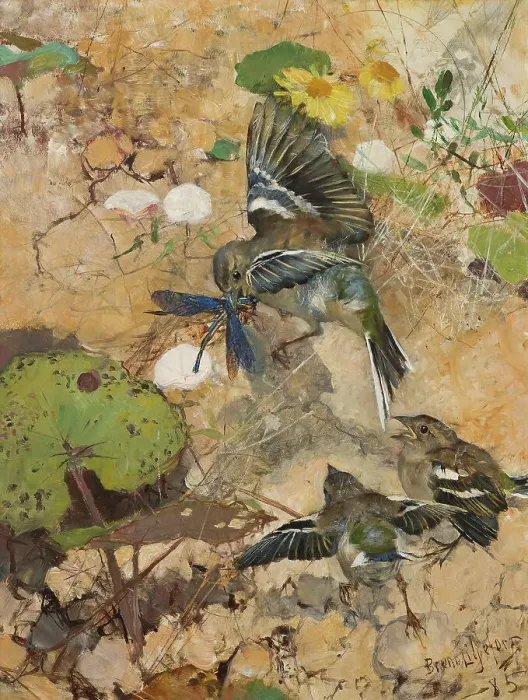 Framed Print : Chaffinches and Dragonflies. Five studies in one frame, 1885. Creator: Bruno Liljefors Framed Print : Chaffinches and Dragonflies. Five studies in one frame, 1885. Creator: Bruno Liljefors