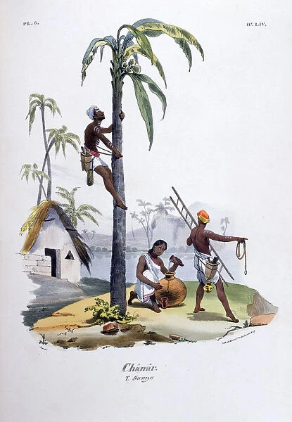 Chanar, 1828. Artist: Jean Henri Marlet