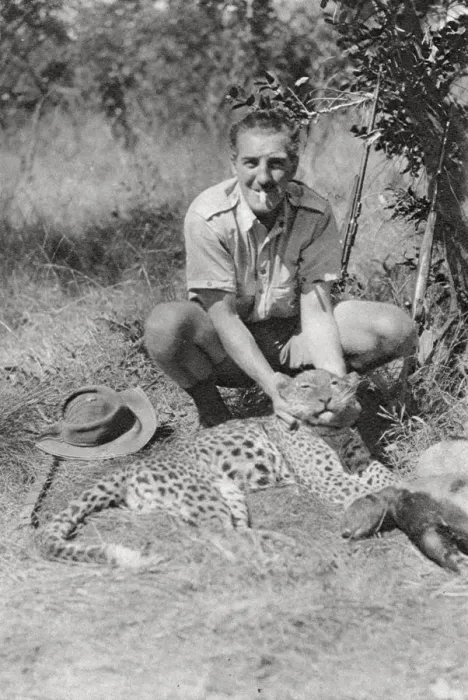 Framed Print : Chaplin Court Treatts leopard, Abercorn to Tukuyu, Tanganyika, 1925 (1927). Artist: Thomas A Glover Framed Print : Chaplin Court Treatts leopard, Abercorn to Tukuyu, Tanganyika, 1925 (1927). Artist: Thomas A Glover