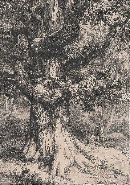 The Charlemagne, Oak Tree with an Eagles Nest, 1845. Creator: Eugene Blery