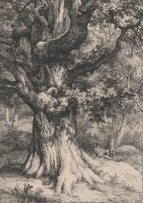 Framed Print : The Charlemagne, Oak Tree with an Eagles Nest, 1845. Creator: Eugene Blery Framed Print : The Charlemagne, Oak Tree with an Eagles Nest, 1845. Creator: Eugene Blery