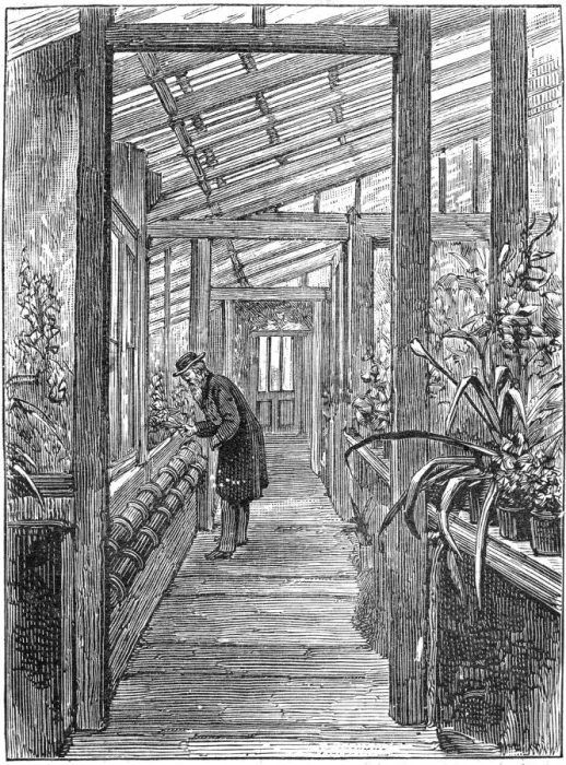 Framed Print : Charles Darwin (1809-1882), English naturalist, in his greenhouse