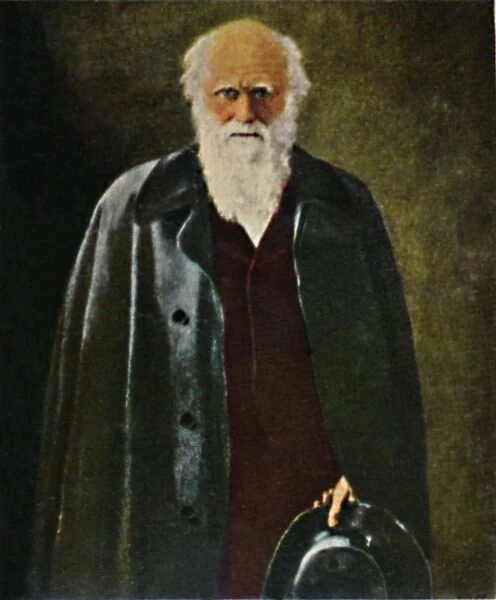 Charles Darwin 1809-1882. - Gemalde von Collier, 1934