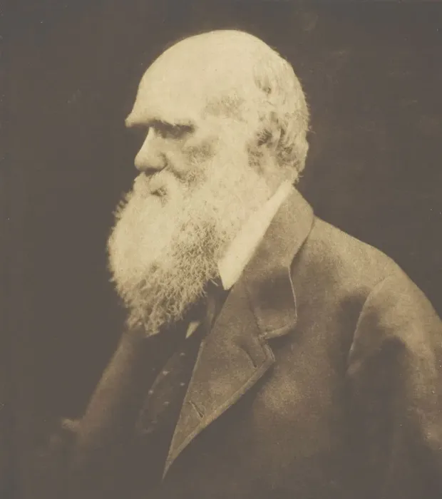 Framed Print : Charles Darwin, 1868, printed c. 1893. Creator: Julia Margaret Cameron Framed Print : Charles Darwin, 1868, printed c. 1893. Creator: Julia Margaret Cameron