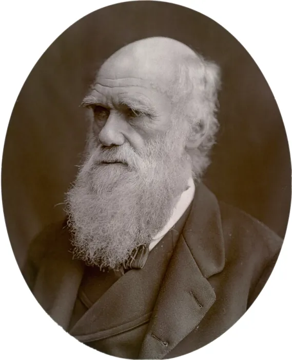 Framed Print : Charles Darwin, 1878. Creator: Lock & Whitfield Framed Print : Charles Darwin, 1878. Creator: Lock & Whitfield