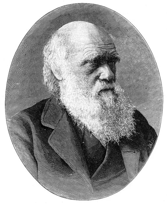 Framed Print : Charles Darwin, 19th century English naturalist, (1900). Artist: Elliott & Fry Framed Print : Charles Darwin, 19th century English naturalist, (1900). Artist: Elliott & Fry