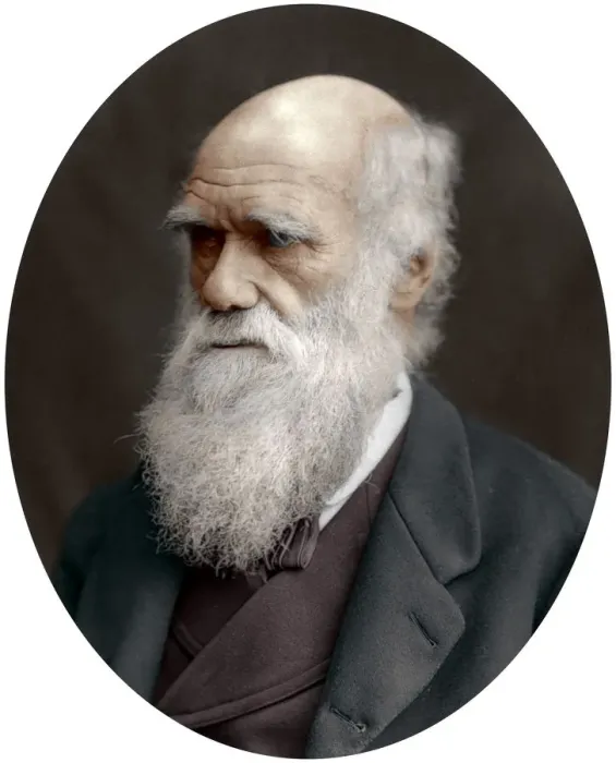 Framed Print : Charles Darwin, British naturalist, 1878 Framed Print : Charles Darwin, British naturalist, 1878