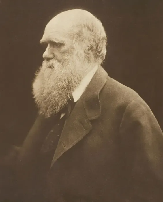 Framed Print : Charles Darwin, c. 1868, printed 1875. Creator: Julia Margaret Cameron Framed Print : Charles Darwin, c. 1868, printed 1875. Creator: Julia Margaret Cameron