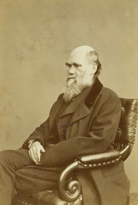 Framed Print : Charles Darwin, c1870s. Creator: London Stereoscopic & Photographic Co Framed Print : Charles Darwin, c1870s. Creator: London Stereoscopic & Photographic Co