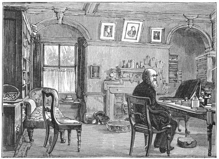 Framed Print : Charles Darwin, English naturalist, in his study, c1870 (1887) Framed Print : Charles Darwin, English naturalist, in his study, c1870 (1887)