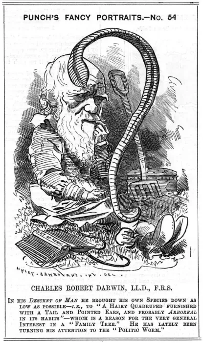 Framed Print : Charles Darwin, English naturalist, 1881. Artist: Edward Linley Sambourne