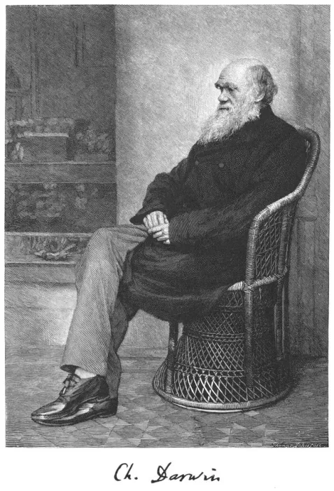 Framed Print : Charles Darwin, English naturalist, 1883 Framed Print : Charles Darwin, English naturalist, 1883
