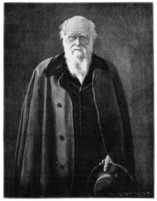 Framed Print : Charles Darwin, renowned naturalist and thinker, (1900) Framed Print : Charles Darwin, renowned naturalist and thinker, (1900)
