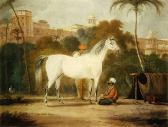 Framed Print : Charles IIs Royal Mare, c1685, (1944). Creator: Johann Christof Sartorius Framed Print : Charles IIs Royal Mare, c1685, (1944). Creator: Johann Christof Sartorius