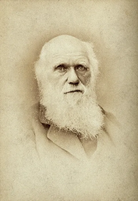 Framed Print : Charles Robert Darwin. Creator: Barraud Framed Print : Charles Robert Darwin. Creator: Barraud