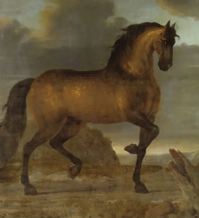 Framed Print : Charles XI's favourite horse Capricorn, 1673. Creator: David Klocker Ehrenstrahl Framed Print : Charles XI's favourite horse Capricorn, 1673. Creator: David Klocker Ehrenstrahl