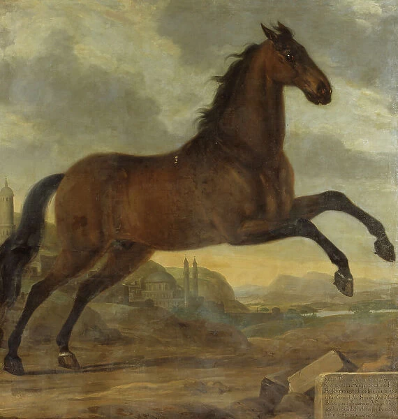 Charles XI's favourite horse Sultan, 1689. Creator: David Klocker Ehrenstrahl