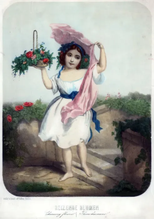 Framed Print : Charming flowers, c19th century. Artist: F Silber