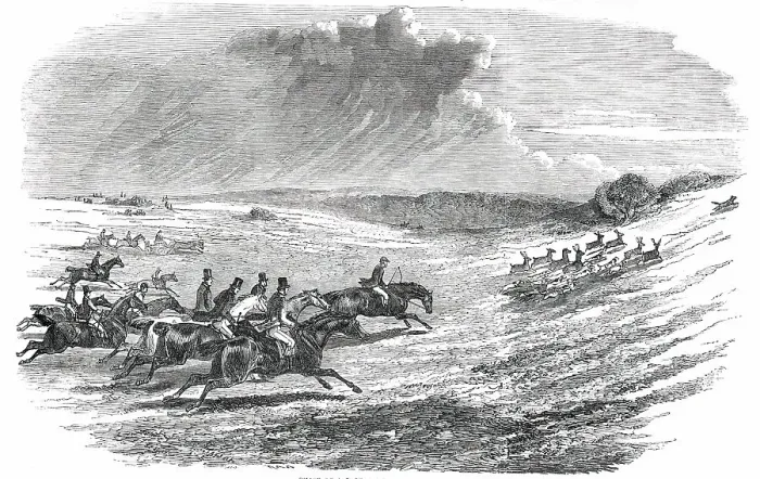 Framed Print : Chase of a Jackal, in the New Forest, 1850. Creator: Unknown Framed Print : Chase of a Jackal, in the New Forest, 1850. Creator: Unknown