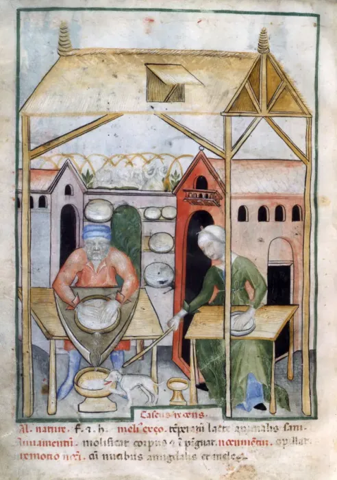 Framed Print : Cheese manufacture, 1390-1400 Framed Print : Cheese manufacture, 1390-1400
