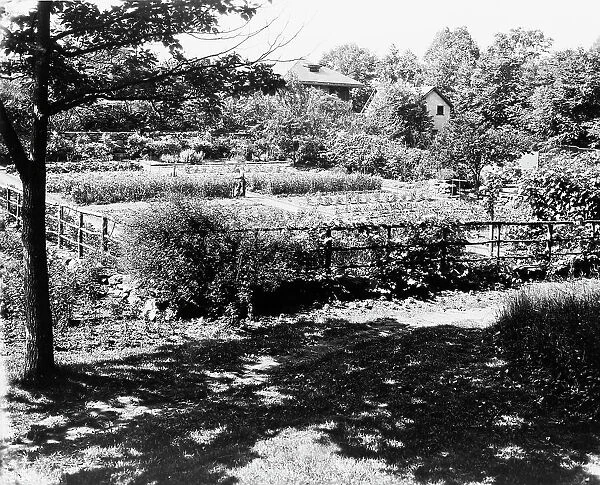'Chelmsford, ' Elon Huntington Hooker house, Greenwich, Connecticut. Vegetable garden, c1914. Creator: Frances Benjamin Johnston. 'Chelmsford, ' Elon Huntington Hooker house, Greenwich, Connecticut. Vegetable garden, c1914