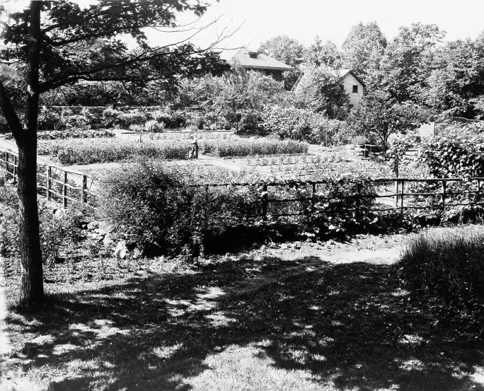 Framed Print : Chelmsford, Elon Huntington Hooker house, Greenwich, Connecticut. Vegetable garden, c1914. Creator: Frances Benjamin Johnston. Chelmsford, Elon Huntington Hooker house, Greenwich, Connecticut. Vegetable garden, c1914 Framed Print : Chelmsford, Elon Huntington Hooker house, Greenwich, Connecticut. Vegetable garden, c1914. Creator: Frances Benjamin Johnston. Chelmsford, Elon Huntington Hooker house, Greenwich, Connecticut. Vegetable garden, c1914