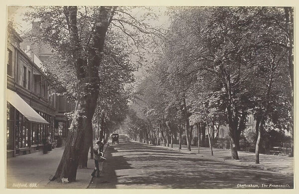 Cheltenham, the Promenade, 1860  /  94. Creator: Francis Bedford