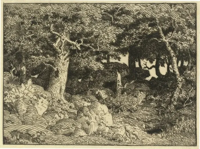 Framed Print : Chenes de Roche (Rock Oaks), 1861. Creator: Theodore Rousseau Framed Print : Chenes de Roche (Rock Oaks), 1861. Creator: Theodore Rousseau