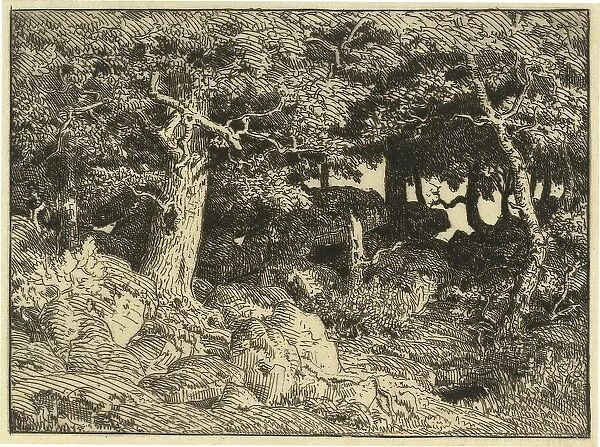 Chenes de Roche (Rock Oaks), 1861. Creator: Theodore Rousseau