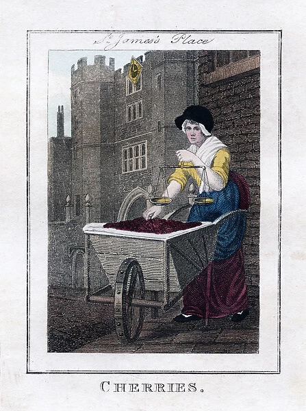 Cherries, St Jamess Palace, London, 1805