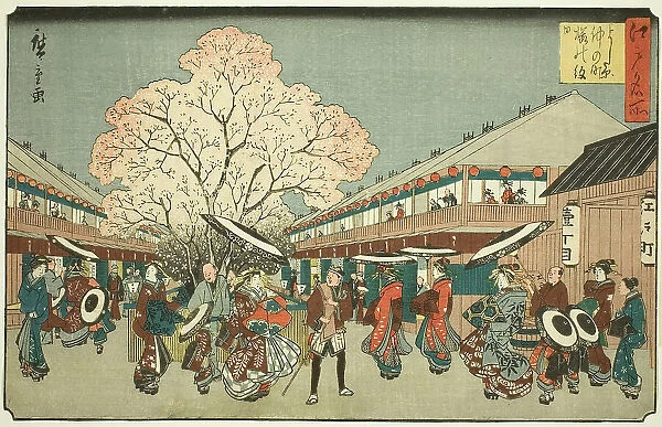 Cherry Blossom Day on the Nakanocho of the Yoshiwara (Yoshiwara Nakanocho Sakura... c. 1840 / 58. Creator: Ando Hiroshige)