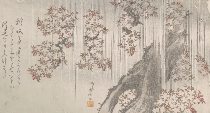 Framed Print : Cherry Blossoms in the Rain, 19th century. 19th century. Creator: Shinsai Framed Print : Cherry Blossoms in the Rain, 19th century. 19th century. Creator: Shinsai