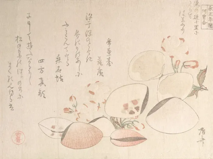 Framed Print : Cherry Blossoms and Shells, 19th century. 19th century. Creator: Shinsai Framed Print : Cherry Blossoms and Shells, 19th century. 19th century. Creator: Shinsai