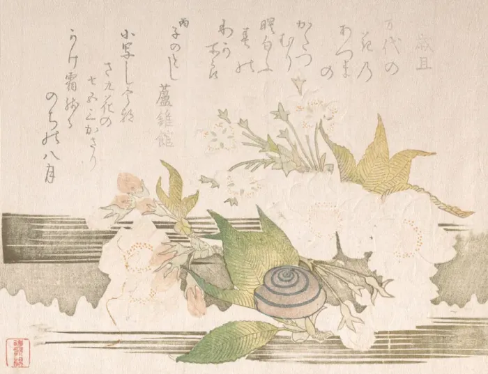 Framed Print : Cherry Blossoms and a Snail, 1816. Creator: Unknown Framed Print : Cherry Blossoms and a Snail, 1816. Creator: Unknown