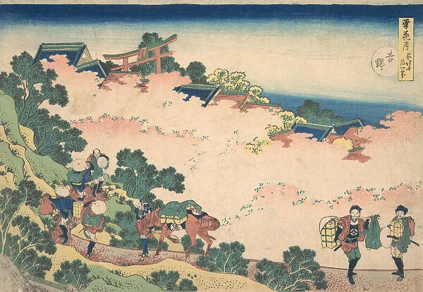 Cherry Blossoms at Yoshino (Yoshino), from the series Snow, Moon, and Flowers (Setsuge